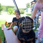 W ostatni wtorek bieżącego roku szkolnego naszą szkołę odwiedził nietypowy gość. Była to przeurocza suczka Kola rasy rottweiler. Zajęcia dla uczniów młodszych klas i przedszkolaków przygotował właściciel psa, pan Kamil Krzempek. Dzieci dowiedziały się, jak rozpoznać emocje u psów oraz jak reagować w chwili zagrożenia ze strony tych zwierząt. Obserwowały elementy tresury psa, rozpoznawały akcesoria dla psów. Suczka dzielnie znosiła dowody sympatii naszych uczniów.