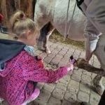 Wycieczka pierwszej klasy do "Pysznej Stajenki" 