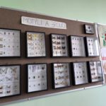  Projekt Międzynarodowy w OS SENOV (Czechy)