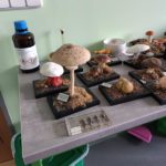  Projekt Międzynarodowy w OS SENOV (Czechy)