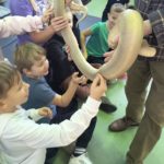 Spotkanie z Panem Pająkiem i jego zwierzętami 