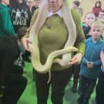 Spotkanie z Panem Pająkiem i jego zwierzętami 