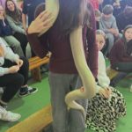 Spotkanie z Panem Pająkiem i jego zwierzętami 