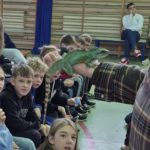 Spotkanie z Panem Pająkiem i jego zwierzętami 